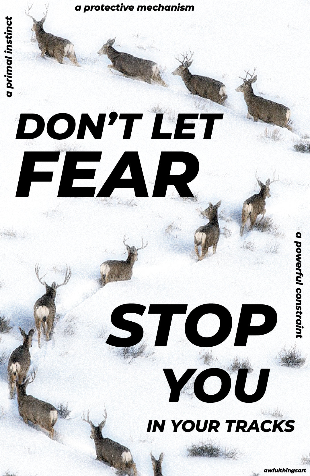 NO FEAR POSTER #2