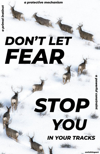 NO FEAR POSTER #2