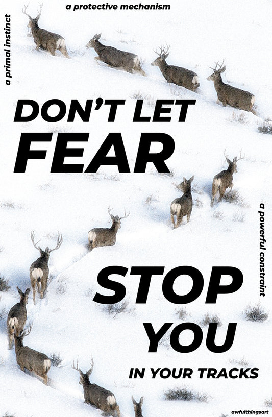 NO FEAR POSTER #2